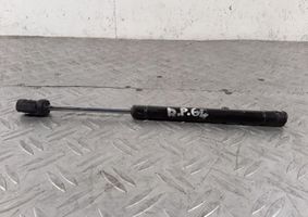 Chrysler Sebring (ST-22 - JR) Tailgate/trunk strut/damper 04814200AD