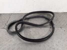 Peugeot 307 Rear door rubber seal (on body) 