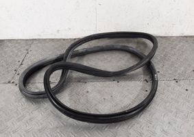 Peugeot 307 Rear door rubber seal (on body) 