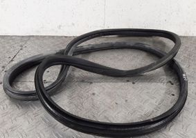 Peugeot 307 Rear door rubber seal (on body) 