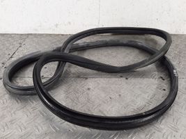 Peugeot 307 Rear door rubber seal (on body) 