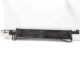 Hyundai Santa Fe Engine oil radiator 