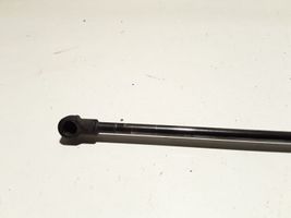 BMW 1 E81 E87 Tailgate/trunk strut/damper 51247060622