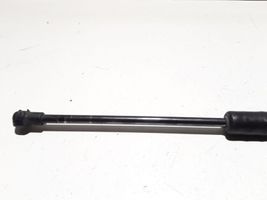 BMW 1 E81 E87 Tailgate/trunk strut/damper 51247060622