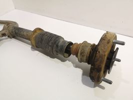 Hyundai Sonata Front shock absorber/damper 