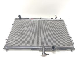 Hyundai H-1, Starex, Satellite Radiateur de refroidissement 253104H100