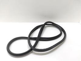 Ford C-MAX II Rear door rubber seal (on body) 