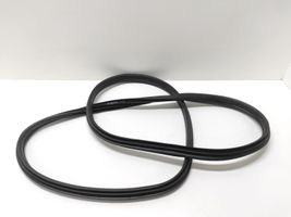 Ford C-MAX II Rear door rubber seal (on body) 