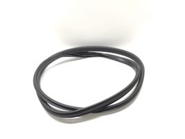 Ford C-MAX II Rear door rubber seal (on body) 