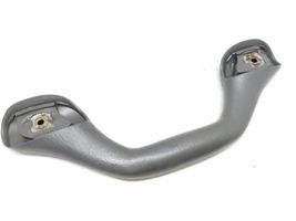 Ford F150 Front interior roof grab handle 