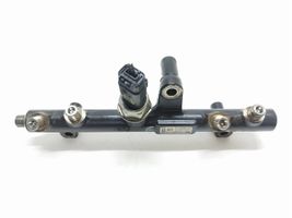 Ford Kuga II Kraftstoffverteiler Einspritzleiste Verteilerrohr 9681909680