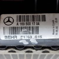 Mercedes-Benz B W245 Radiatore di raffreddamento A1695000403