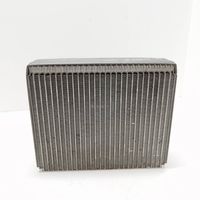 Hyundai Santa Fe Air conditioning (A/C) radiator (interior) BD1D