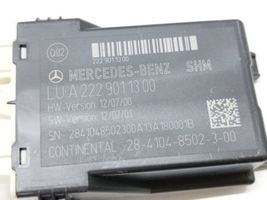 Mercedes-Benz S W222 Altre centraline/moduli A2229011300