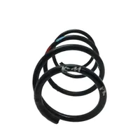 Toyota Prius (XW20) Front coil spring 