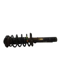 Volkswagen PASSAT B7 Front shock absorber with coil spring 3C0413031AT