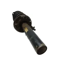 Volkswagen PASSAT B7 Front shock absorber with coil spring 3C0413031AT