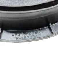 Nissan Leaf I (ZE0) Enceinte de porte arrière EAS16P809A