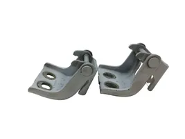 Renault Kangoo II Front door hinges set 115113502