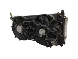 Nissan Leaf I (ZE0) Set del radiatore A18700A28001