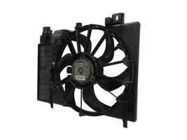 Peugeot 508 Ventilatore di raffreddamento elettrico del radiatore 3000257