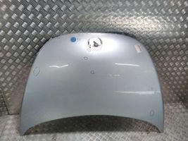 Volkswagen New Beetle Dangtis variklio (kapotas) 1C0823031L