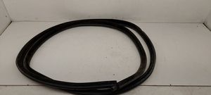 BMW 3 E46 Rear door rubber seal (on body) 8194683