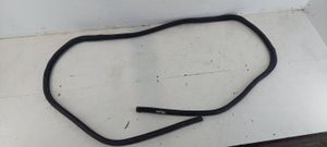 Audi A3 S3 8P Trunk rubber seal (body) 8P3827705F