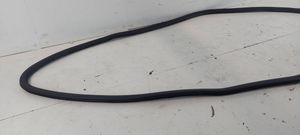 Audi A4 S4 B6 8E 8H Front door rubber seal 8E0831721B