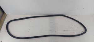 Volkswagen PASSAT B6 Front door rubber seal 3C4867911B