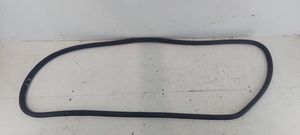 Volkswagen PASSAT B6 Front door rubber seal 3C4867911B