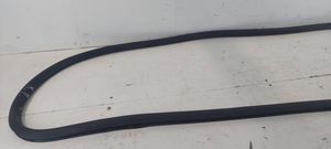 Volkswagen PASSAT B6 Front door rubber seal 3C4867911B