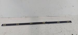 BMW 5 E39 Front door trim (molding) 8184477