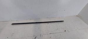 BMW 5 E39 Front door trim (molding) 8184477