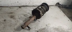 Ford Focus Front shock absorber with coil spring 