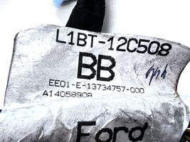 Ford Puma Wiązka przewodów silnika L1BT12C508BB