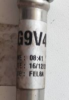 Ford Puma Eļļošanas caurulīte (-es) / šļūtene (-es) H6BG9V471AB