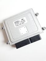 Hyundai Ioniq Sterownik / Moduł ECU 3910003913