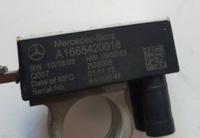 Mercedes-Benz A W176 Minusinis laidas (akumuliatoriaus) A1665420018