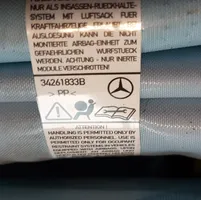 Mercedes-Benz A W177 Stogo oro pagalvė (užuolaida) 1778600702