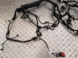 Ford Focus Panel wiring JX6T92JR62485