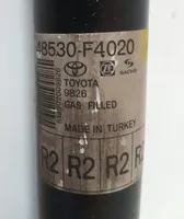 Toyota C-HR Amortiguador trasero 48530F4020