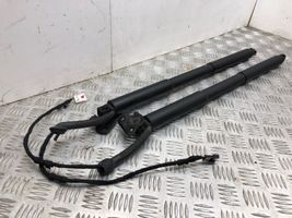 BMW 3 F30 F35 F31 Tailgate hydraulic set 7305022