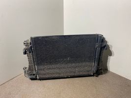 Volkswagen PASSAT CC Radiator set 1T0820411B