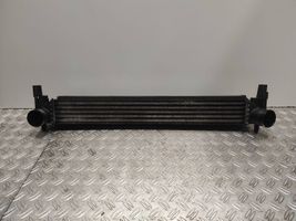 Seat Ibiza IV (6J,6P) Intercooler radiator 