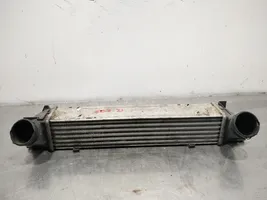 BMW X1 E84 Intercooler radiator 752491608