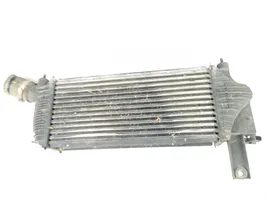 Nissan NP300 Radiateur de refroidissement 14461EB360