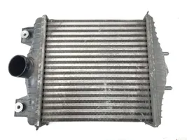 Land Rover Range Rover Sport L494 Radiatore di raffreddamento CPLA9L440AC