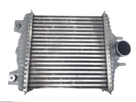 Land Rover Range Rover Sport L494 Radiateur de refroidissement CPLA9L440AC