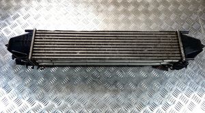 Volvo V40 Radiatore intercooler 31338474